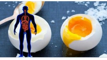 what-happens-when-you-eat-3-whole-eggs-every-day
